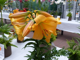 Foto: Dr. Peter Müller